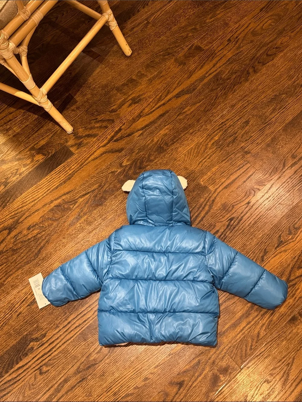 Rothschild infant boys sherpa trim Blue Puffer Jacket